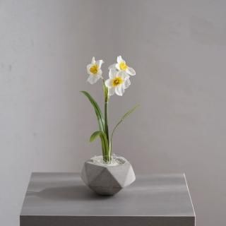 水換え不要）藤の花の花瓶水挿し - chouchou fleur（シュシュ
