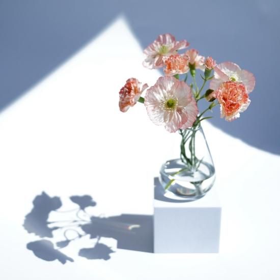 【希少】  ルージュフランベ 花瓶 水換え不要）ポピーとカーネーションの花瓶挿し - chouchou fleur