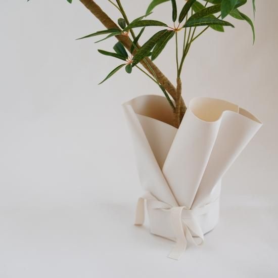 シェフレラとラッピングレザーカバーセット【観葉植物】 - chouchou