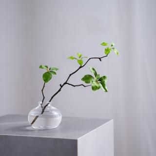 水換え不要）チョコレートコスモスの花瓶挿し - chouchou fleur