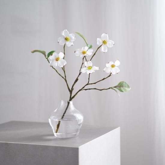 水換え不要）ハナミズキの小枝花瓶挿し - chouchou fleur（シュシュ