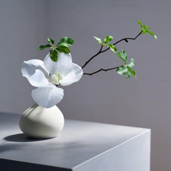 ドウダンツツジとコチョウランの花瓶挿し（3点セット） - chouchou