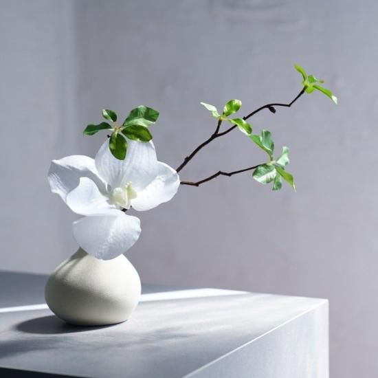 ドウダンツツジとコチョウランの花瓶挿し（3点セット） - chouchou