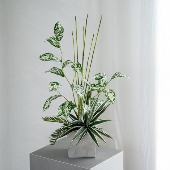 樹と花 トクサとグリーンミックスのコンクリートポット - chouchou fleur