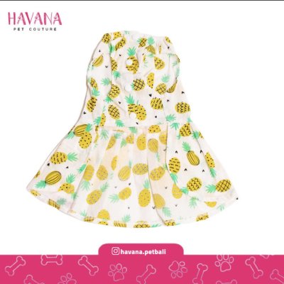 HA-10B 　ドッグドレス パイナップル