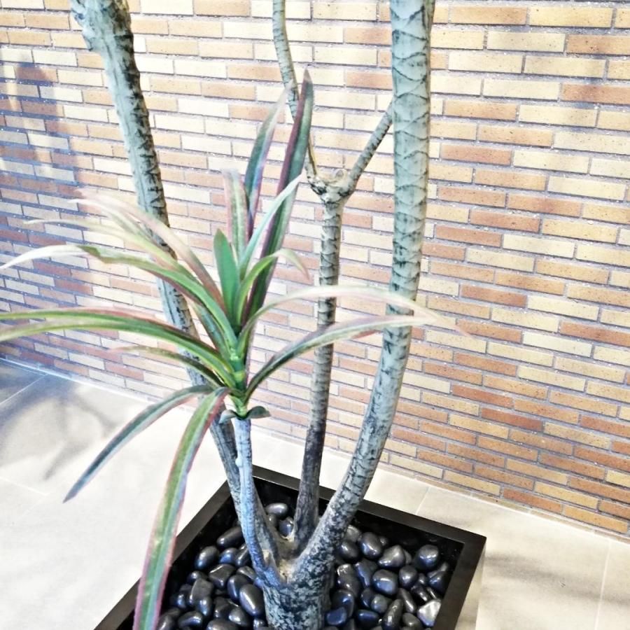 ◇EMILIO ROBBA アーティフィシャルグリーン 観葉植物 ◇EMILIO ROBBA アーティフィシャルグリーン 観葉植物