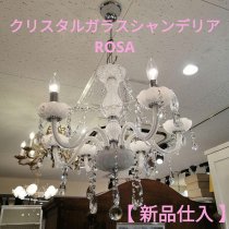 ڿʻ ꥹ륬饹 ǥꥢ ROSA 6  쥬