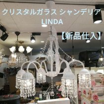 ڿʻ ꥹ륬饹 ǥꥢ LINDA  쥬