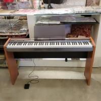 ڿACץCASIO Privia PX-100 Żҥԥ 

