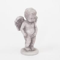 NEWۥ󥸥롡ץꥢ/֥/ǥ˥