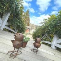 NEWۥ᥿Сɥå֥ꥭ/ʪ/ץ󥿡/ǥ˥/Ļ