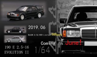 6ͽ Error404 1/64 Mercedes 190 E 2.5-16 Evolution II С