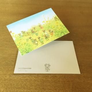 絵はがき / postcards - えほんの丘webショップ