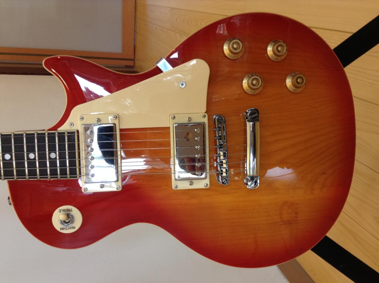 MAESTORO by Gibson Les Paul StandardMAEST