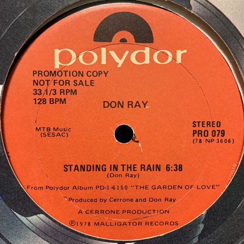 Don Ray / Standing In The Rain (12 Inch) - Vinyl Cycle Records