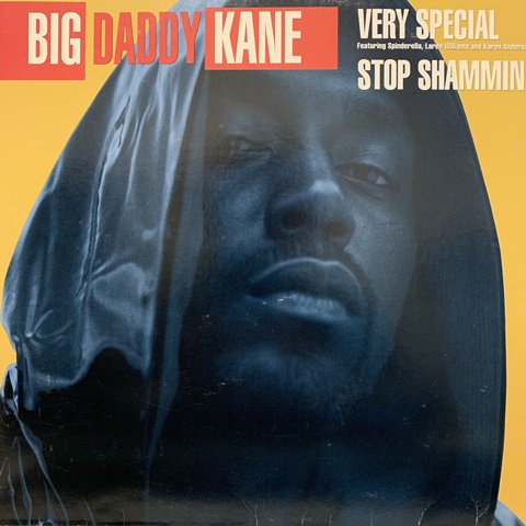 Big Daddy Kane / Very Special (12 Inch) - Vinyl Cycle Records