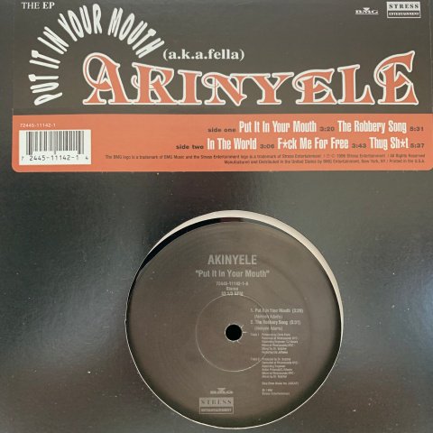 Akinyele / Put It In Your Mouth (12 Inch) - Vinyl Cycle Records