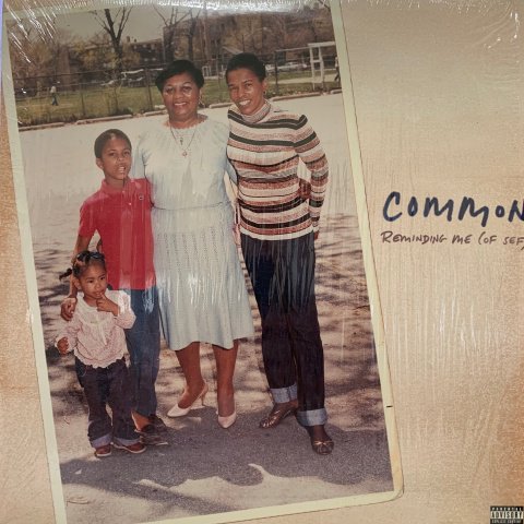 Common / Reminding Me (Of Sef) (12 Inch) - Vinyl Cycle Records