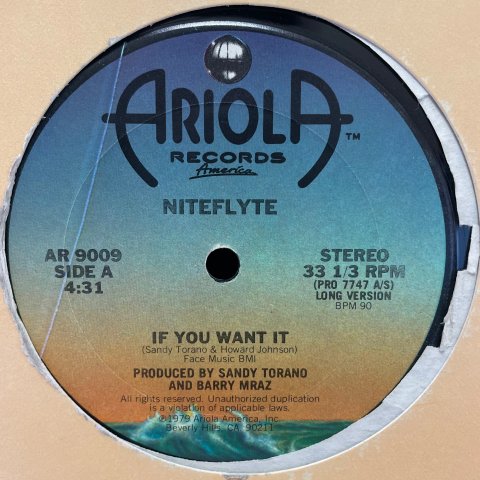 NITEFLYTE / IF YOU WANT IT 12inch シングル - 洋楽