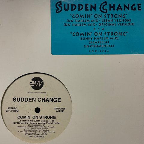 Sudden Change / Comin' On Strong (12 Inch) - Vinyl Cycle Records