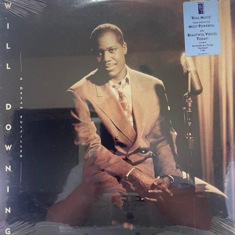 Will Downing / A Dream Fulfilled (LP) - Vinyl Cycle Records