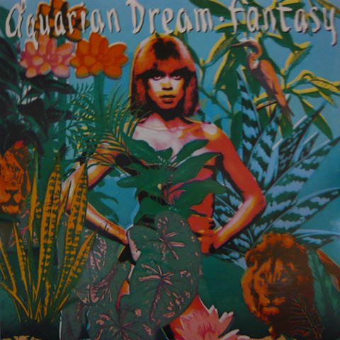 Aquarian Dream / Fantasy (LP) - Vinyl Cycle Records