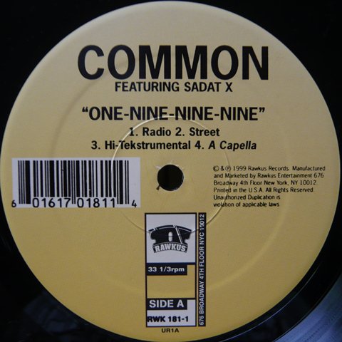 Common One-Nine-Nine-Nine - Vinyl Cycle Records
