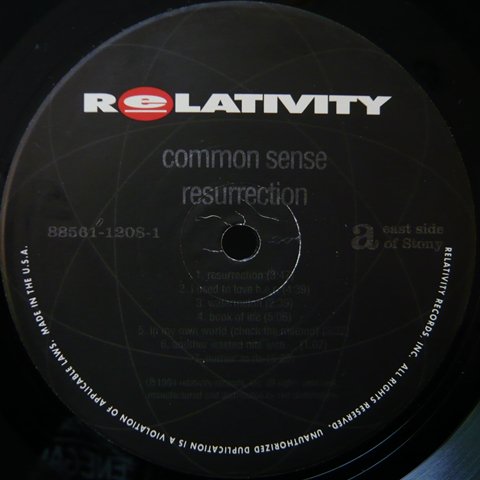 レアCOMMON SENSE/RESURRECTION INST/2LP!!!! 返品可 - locabrinq.com.br