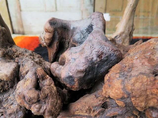 1950-60's ヴィンテージ ガラストップ 流木テーブル