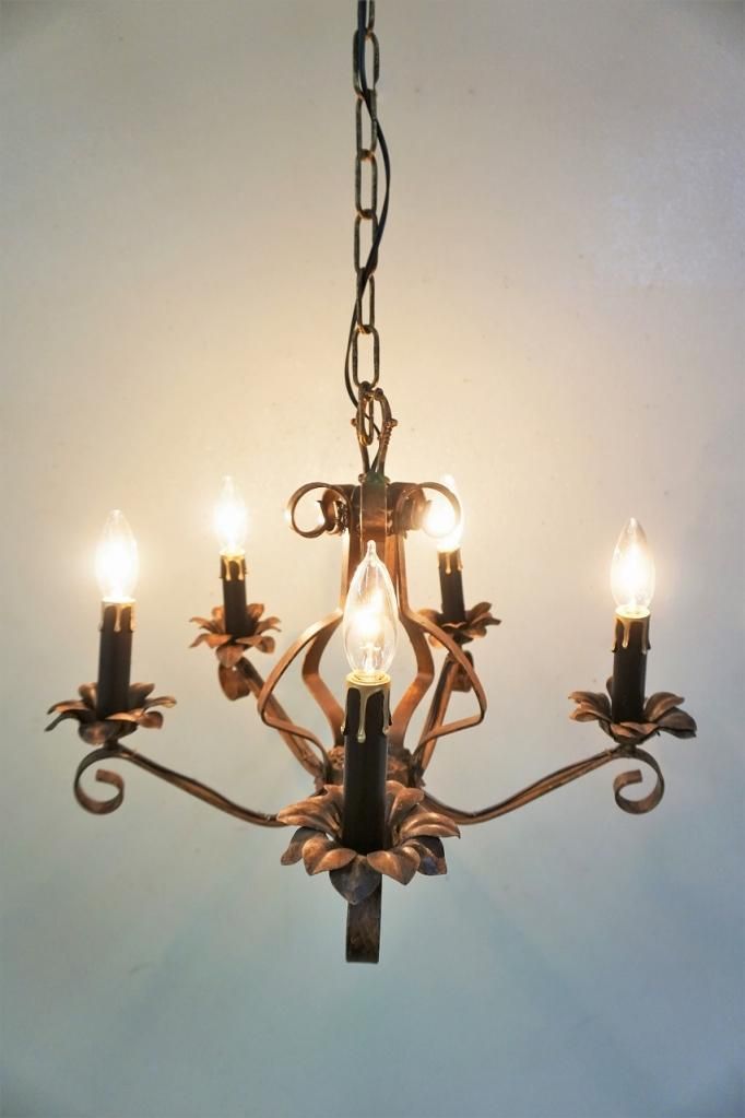 1900-20s ơ  5 ǥꥢ