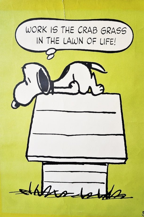 1960's ヴィンテージ Peanuts-Snoopy 額入りポスター - アンティーク、ビンテージのインテリア家具や雑貨、店舗什器の通販ならWANT  ANTIQUE LIFE STORE