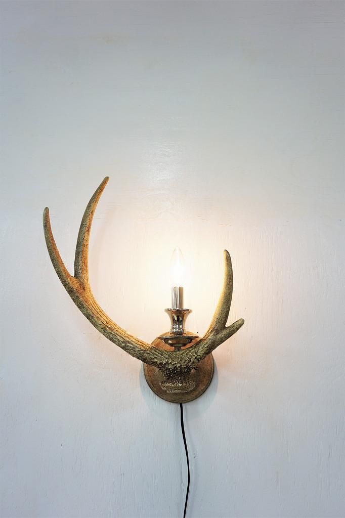 ơ ȥ顼 ֥饱åȥ׭