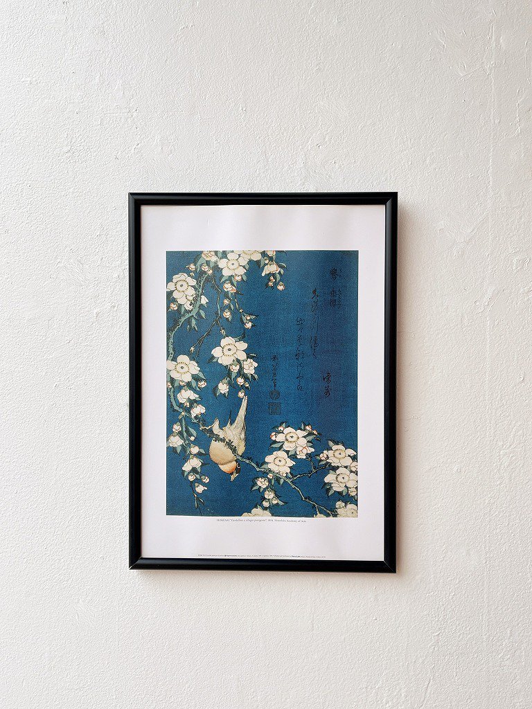 葛飾北斎 ”鷽に垂桜” 額入りポスター - アンティーク、ビンテージの