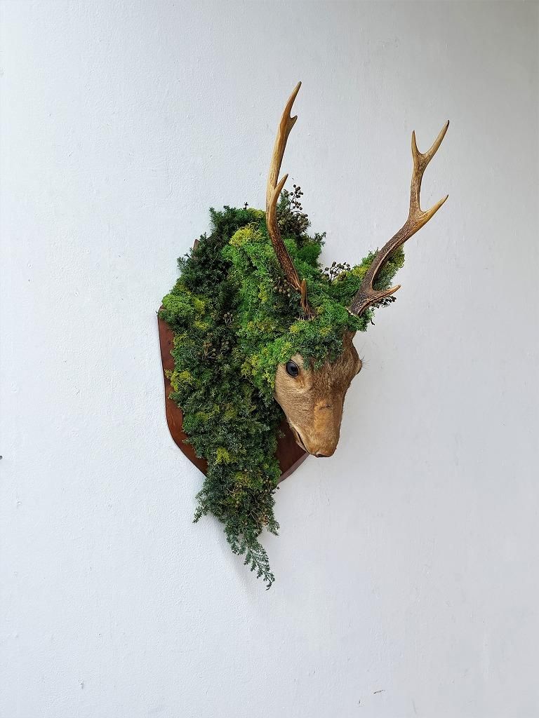 idea of a joke ᥤ ϥƥ󥰥ȥե ᵦΤߤ/Źޤ