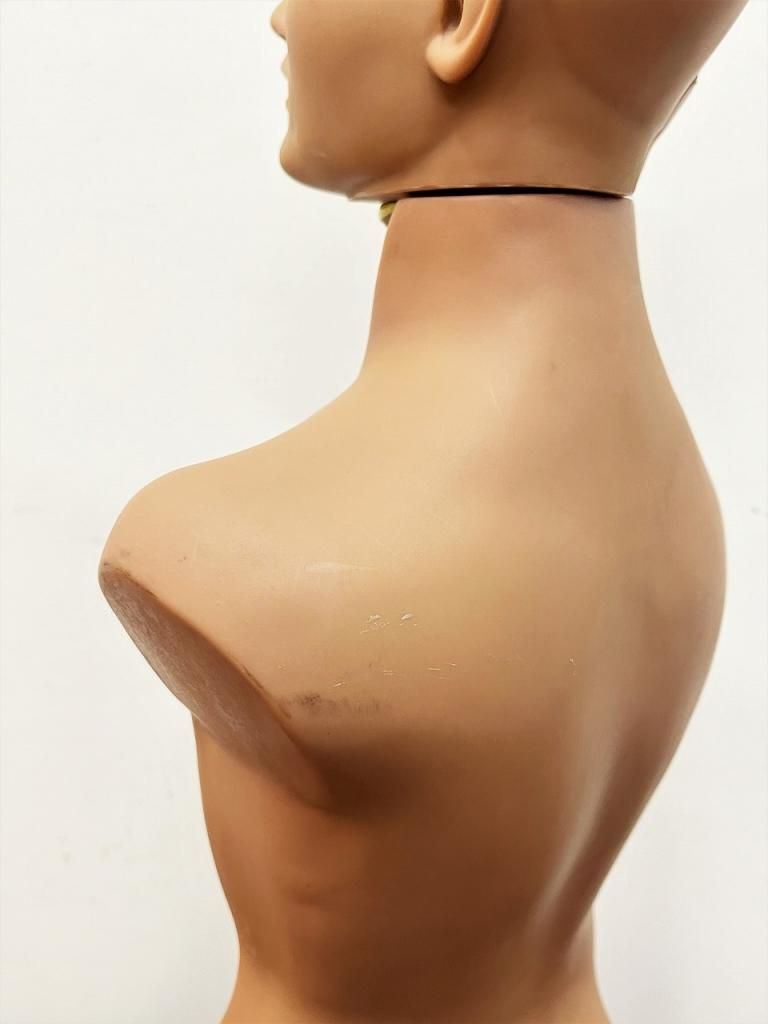 ヴィンテージ Edu-Science社製 メディカルモデルパネル/ 人体 ヴィンテージ Edu-Science社製 メディカルモデルパネル/ 人体