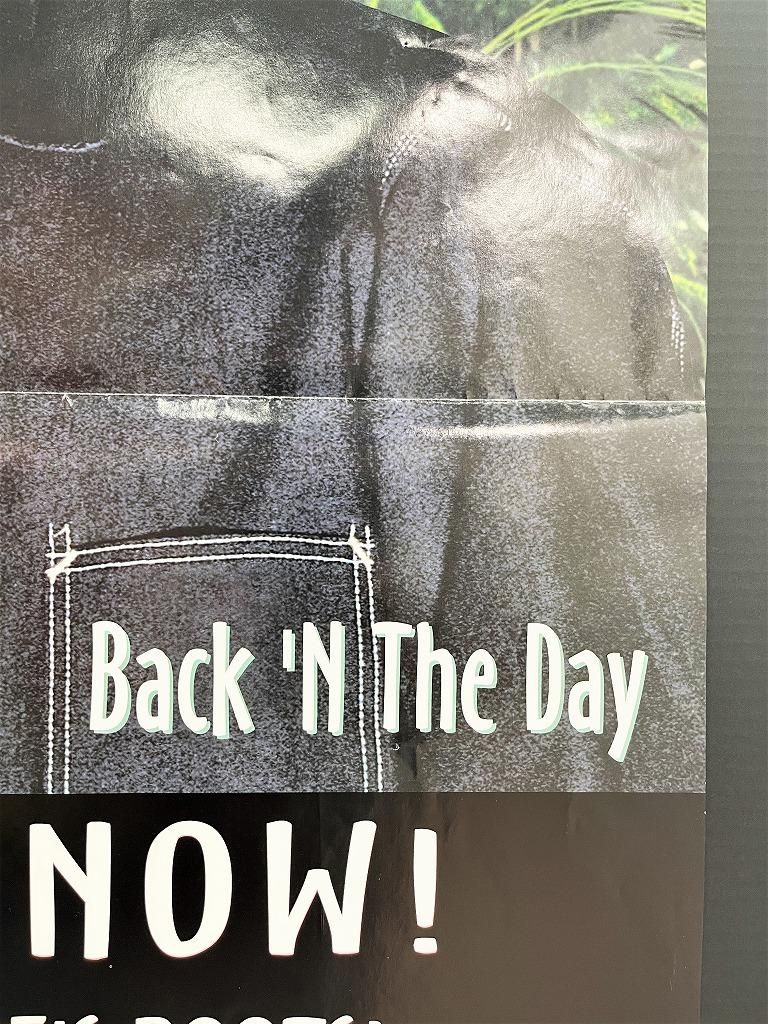 DR.DRE ポスター Dr.Dre ”Back'N The Day” 額入りポスター - アンティーク