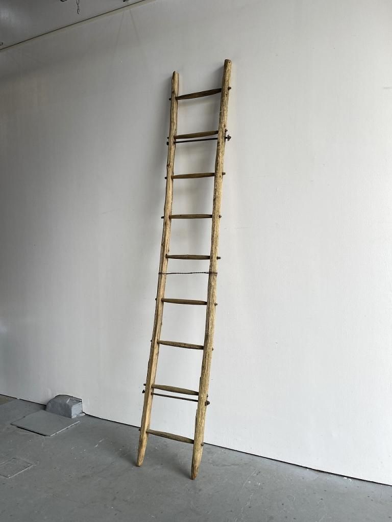 ラダー/梯子 - アンティーク、ビンテージのインテリア家具や雑貨、店舗