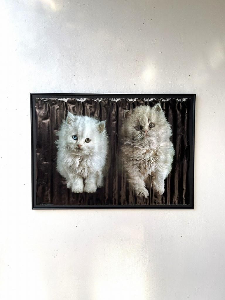 1980's ”Cat” ヴィンテージ 額入り ポスター - アンティーク