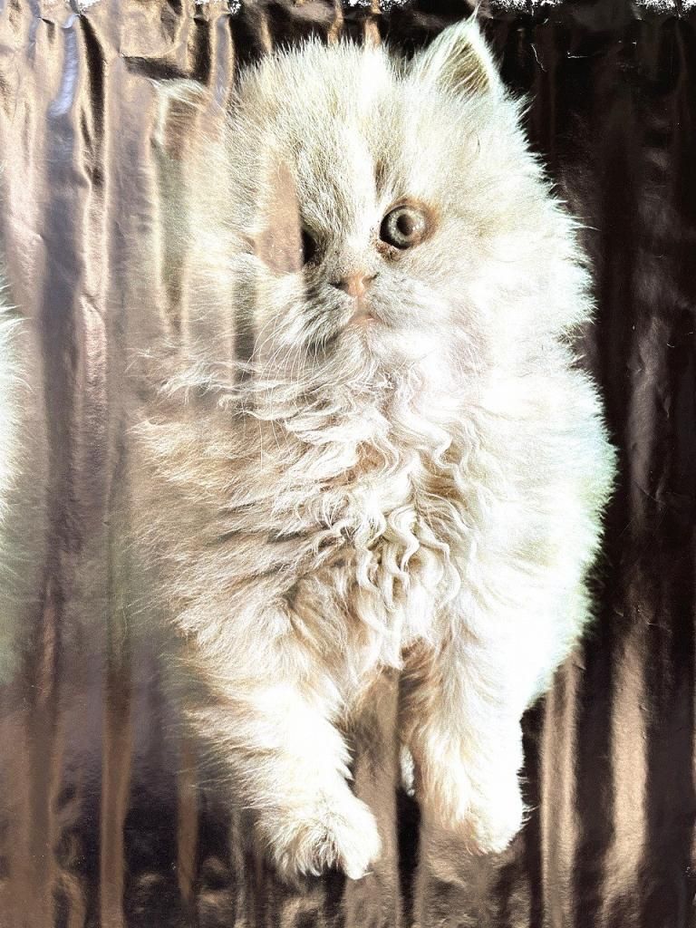 90s当時カルバンクラインアンティークヴィンテージ（ビンテージ）ポスター額縁付 90sカルバンクラインアンティークビンテージ（ビンテージ