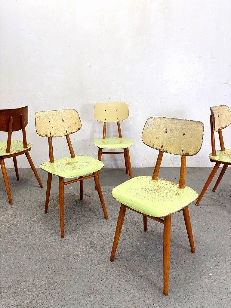 TON チェア 1950-60's TON社製 ヴィンテージ ウッド ダイニングチェア(複数