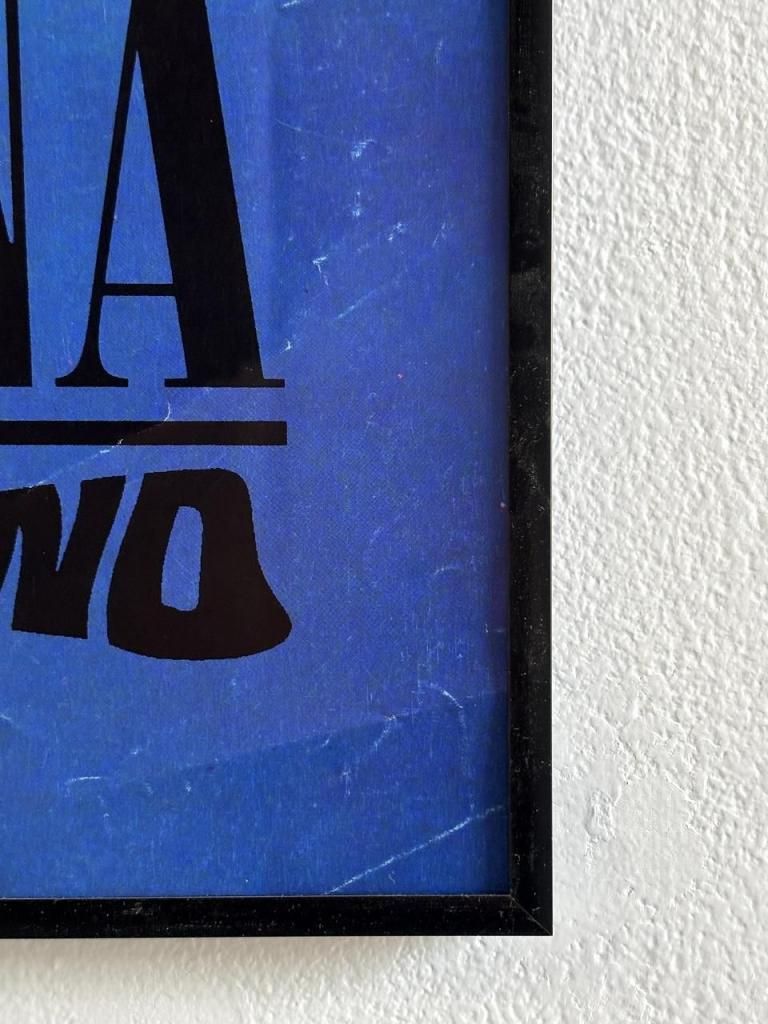 激レア NIRVANA タワーレコード 大判ポスター 額あり 激レア希少美品ボックスレコードNirvana-Colored Vinyl Box