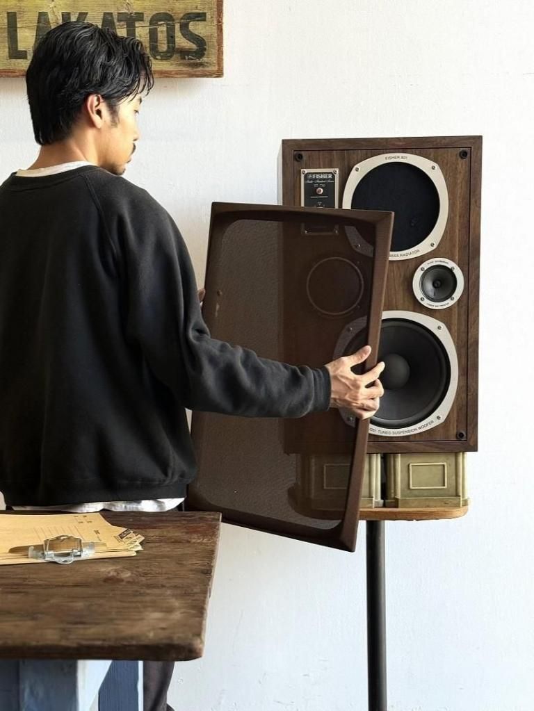 Fisher Electronics ԡSet