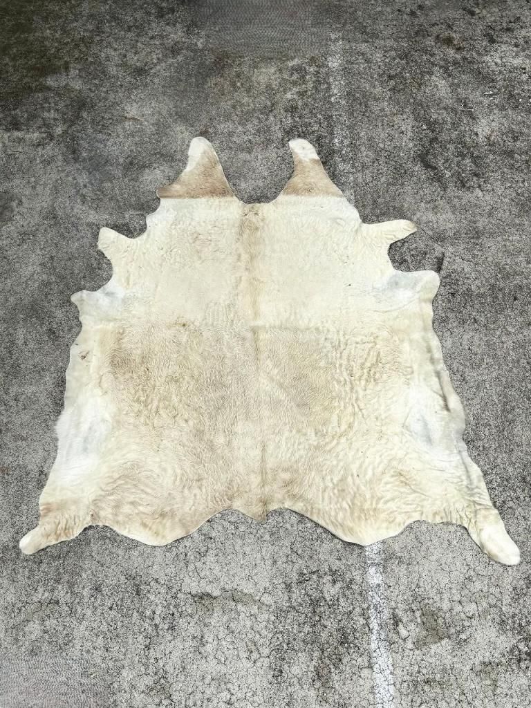 ơ ϥ饳 饰(2370mm2210mm)