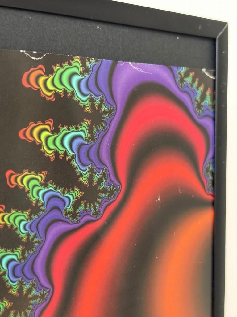 1997's “Fractal Zone-Smiley” サイケデリックアート 額入りポスター