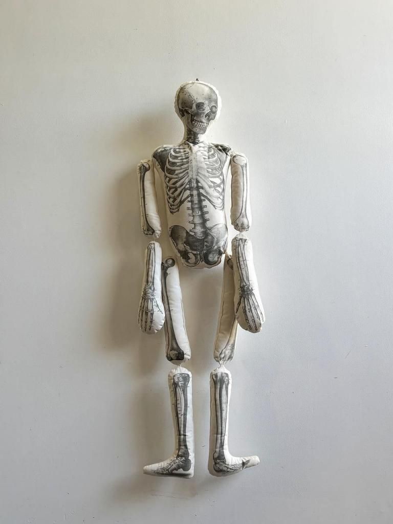 John Derian Company ʥȥߥ ȥɡ