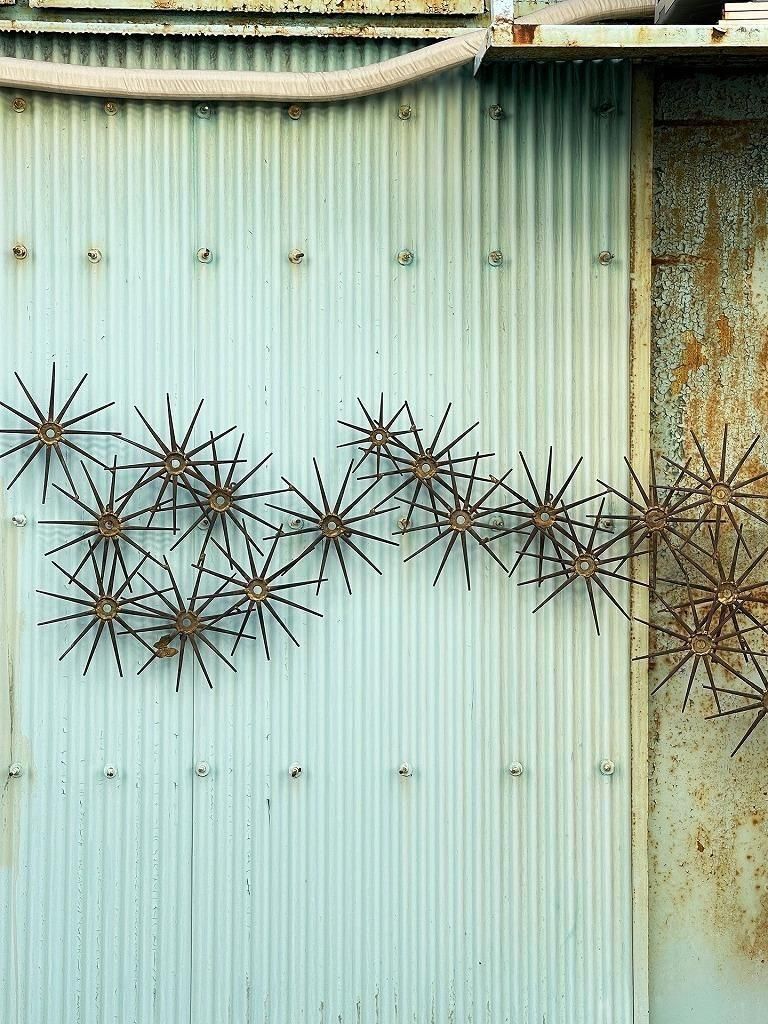 1950-60s ֥롼ꥺ ͥ 륹ץ㡼(ǥ)