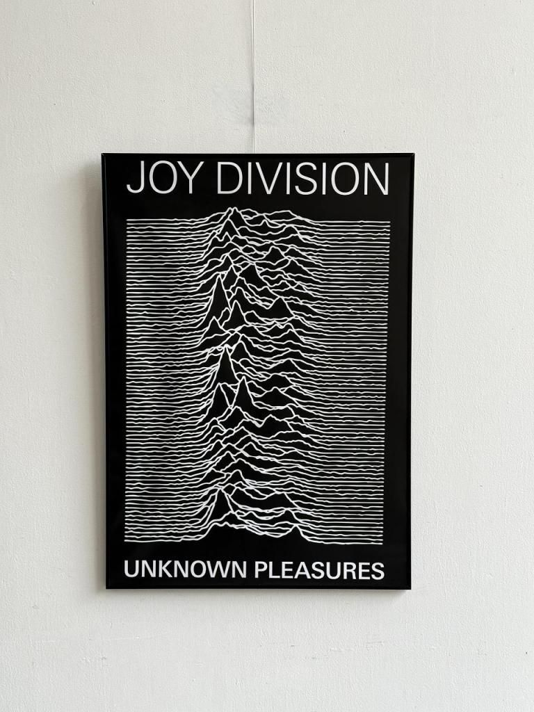 2000's JOY DIVISION 