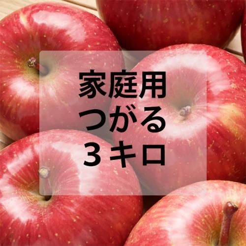 りんご　0617 つがる｜2025年度早生りんご｜及川りんご園｜江刺産りんご
