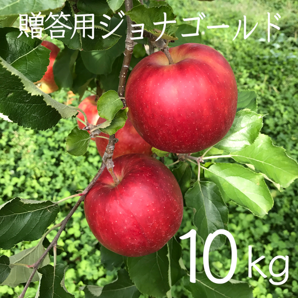 岩手・江刺産りんごの及川りんご園｜ミズサキノート