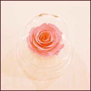 プリザーブドフラワー　ダイヤモンドローズドーム　ピンク プリザーブドフラワー ダイヤモンドローズドーム ピンク